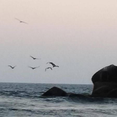 Cabanas Jaysur Barra de la Cruz Kültér fotó